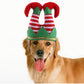 Pet Christmas Dress Up Set: Festive Hat And Funny Striped Clown Headgear For Dogs-0