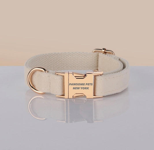 PAWSOME DOG COLLAR - #24-0