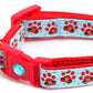 Santa Paws Breakaway Cat Collar-7