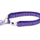 White Squiggles on Purple Cat Collar-3