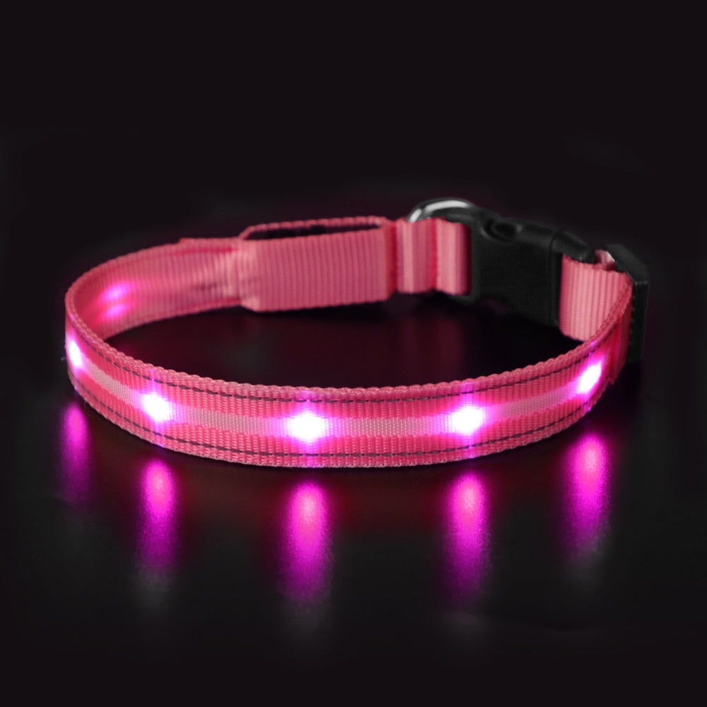 Light Up Dog Collar Waterproof USB Rechargeable