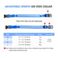 LED Dog Collar Luminous Pet Supplies Dog Collar