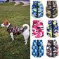 Small Dog Jacket Chihuahua Yorkie Clothing