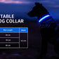 LED Dog Collar Luminous Pet Supplies Dog Collar